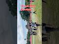 Samastipur vs Purniya Patna #cricket #league #mcl #thefaizanviral #short #cricketlover