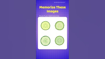 Test Your Memory Skills 🫵 | VISUAL MEMORY TEST 17 👀🧠