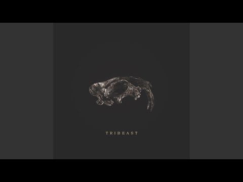 Intention (Interlude)