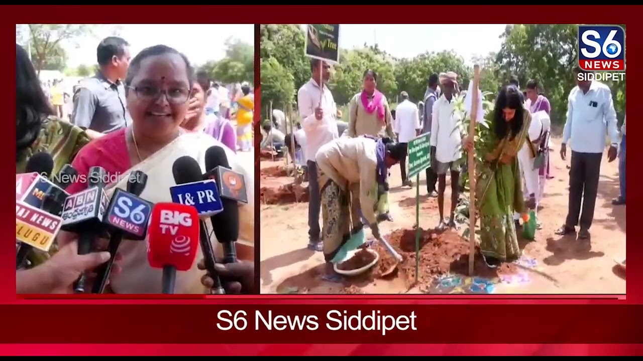 🌱 Collector Hymavathi Launches Unique Plantation Drive | 