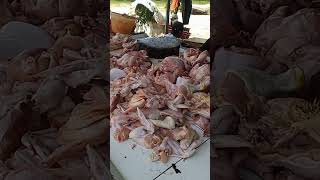 Inilah Alasan Harga Ayam Lebih Murah Dari Harga Ikan