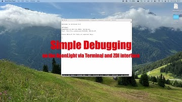 Simple debugging on the Agon Light
