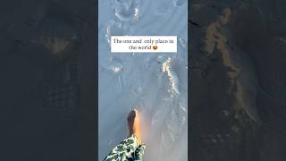 Only in USA !! #shorts #trending #viral #youtubeshorts #explore #travel #usa #thekanakagrawal