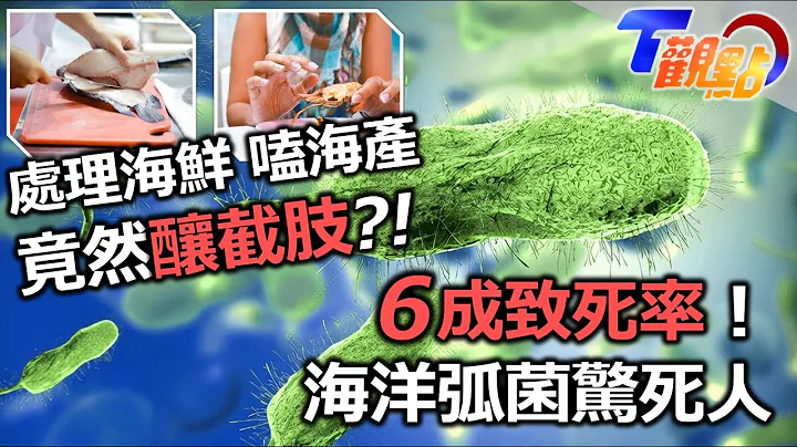 6成致死率?! 海洋弧菌驚死人處理海產‧嗑海鮮竟然釀截肢！ T觀點 20230701 (4/4) - 天天要聞