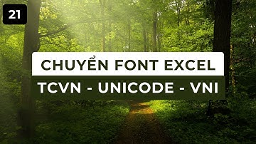 Hướng dẫn chuyển font chữ Tiếng Việt trong Excel #excel