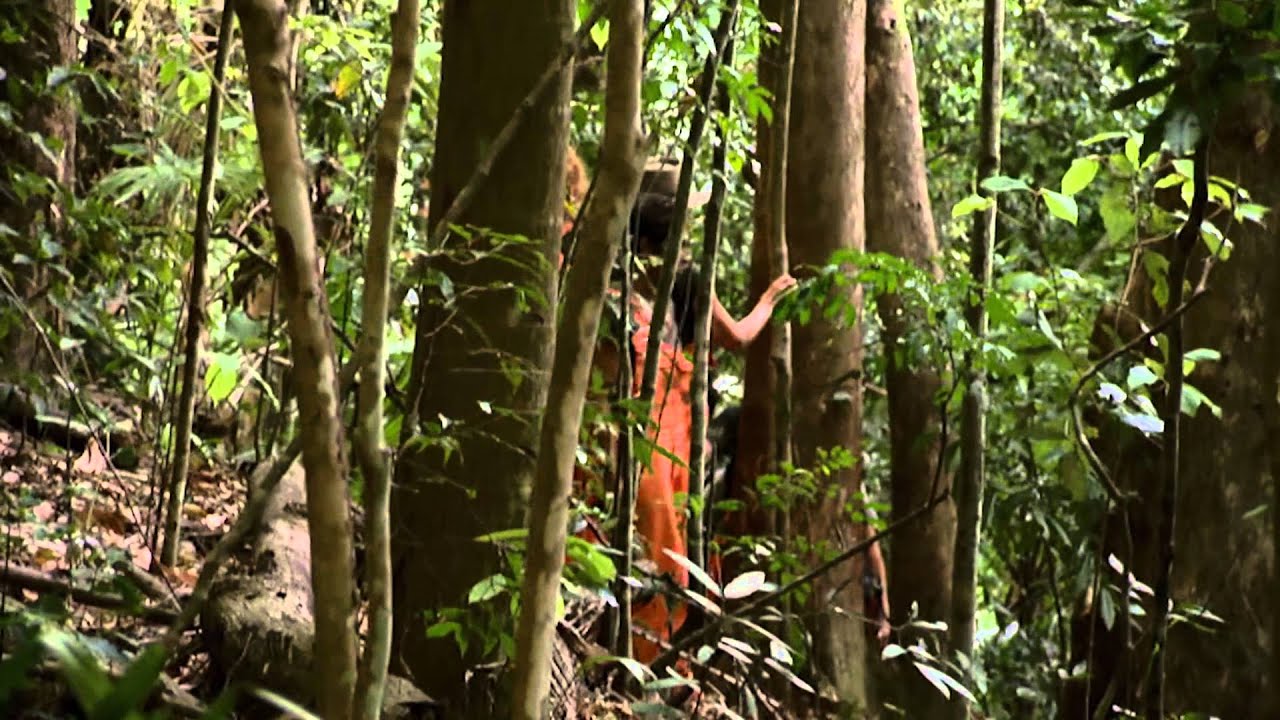 extra campionario The Long Walk Home | I'm a Celebrity Get Me Out Of Here!.