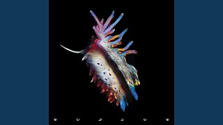 Fine Day - Sub Focus