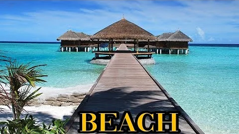 4k UHD Tropical Beach & Palm Trees🌴 on a Island, Ocean Sounds, Ocean waves White Noise for Sleeping.