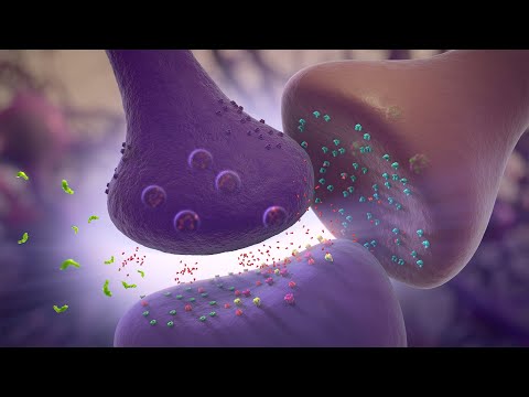 Glutamate Modulation