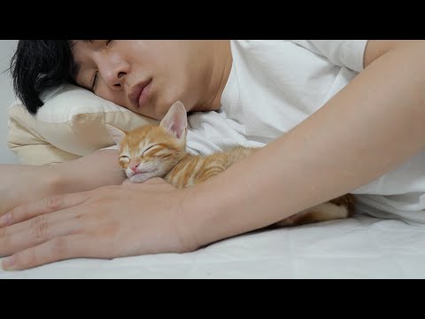 When I Sleep, a Baby <strong>Cat</strong> Comes <strong>Into</strong> My Arms and Sleeps