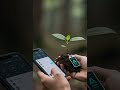 Discover how crypto heals nature! #Blockchain #Reforestation #CryptoInnovation