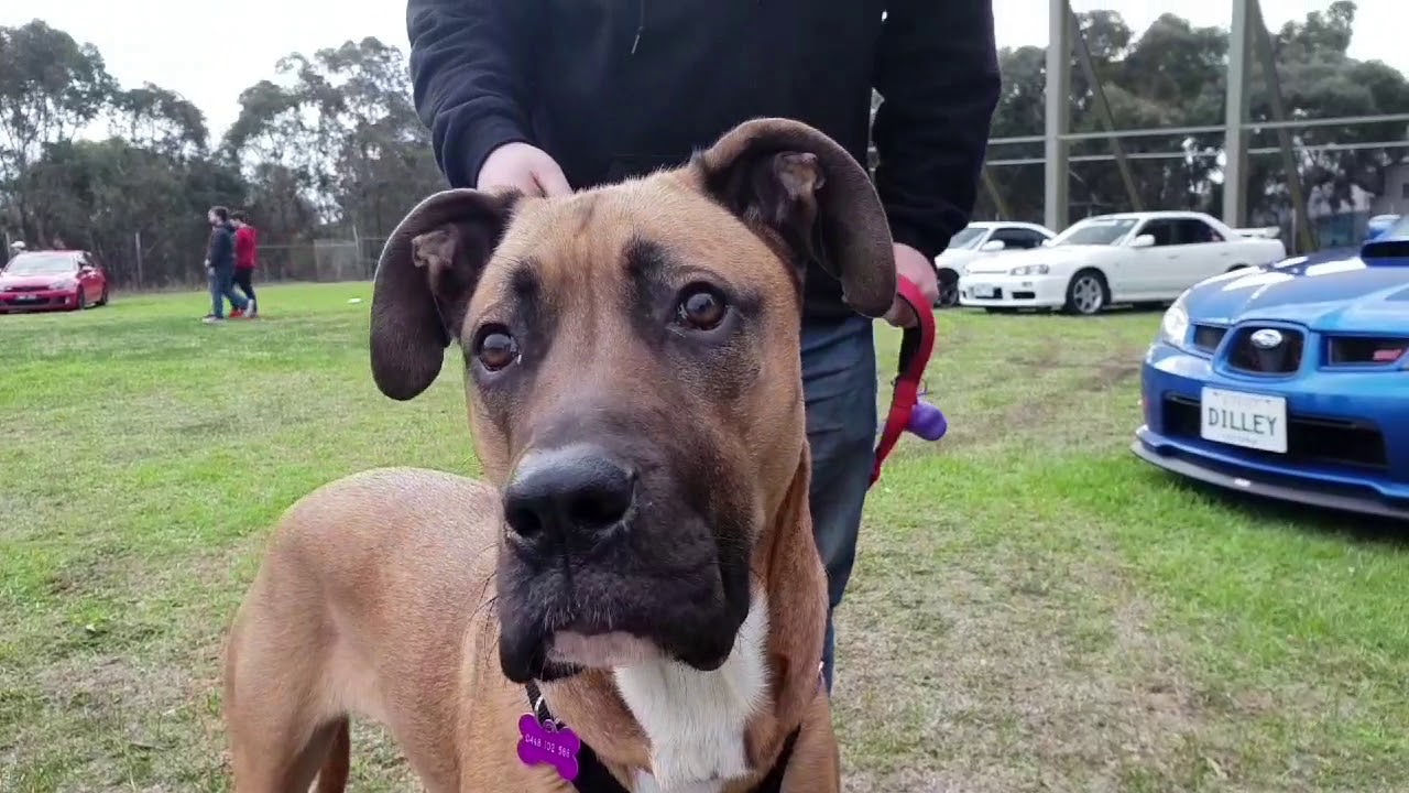 LIVE LIFE AUTO at Downshift (June 2019)