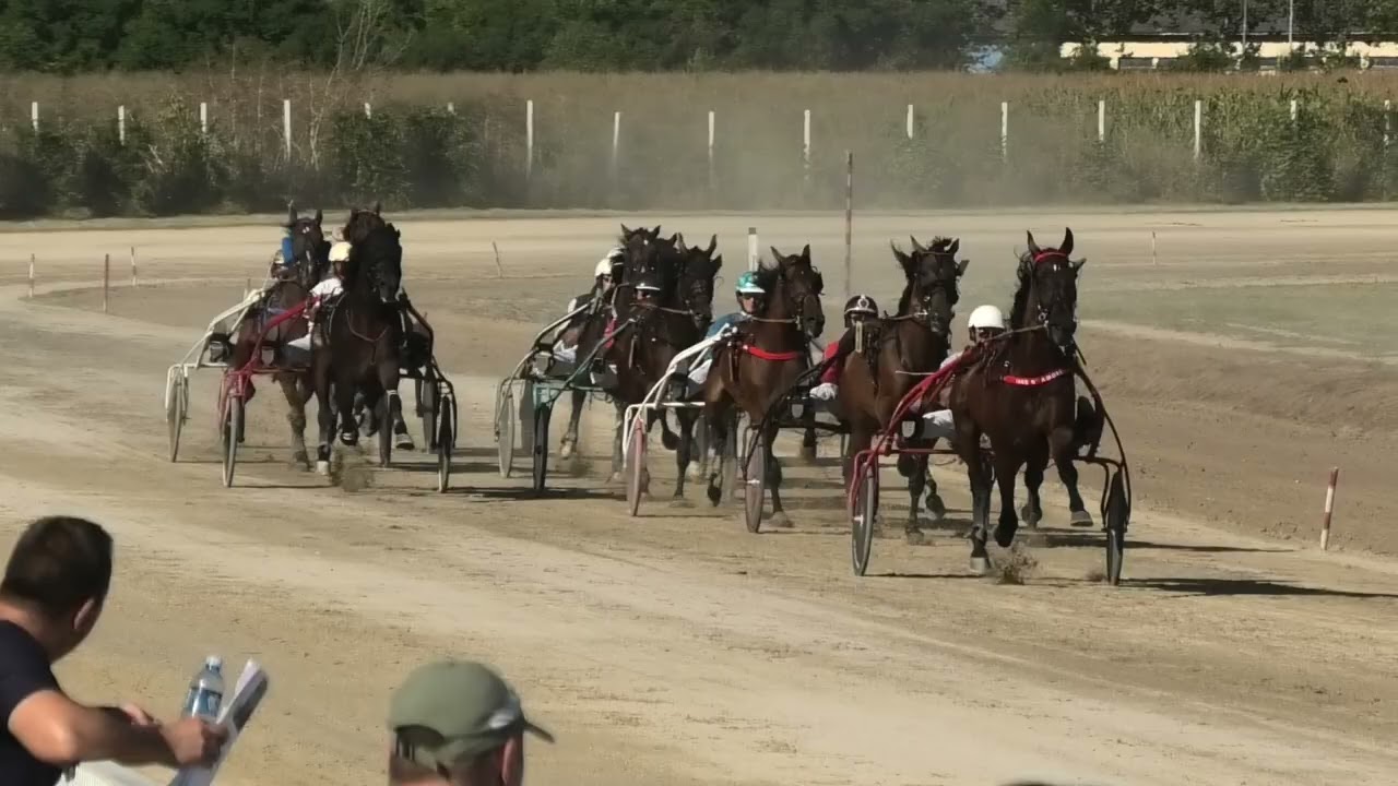 Sombor-13.08.2023, Iago d'Amore & A. Horvatski