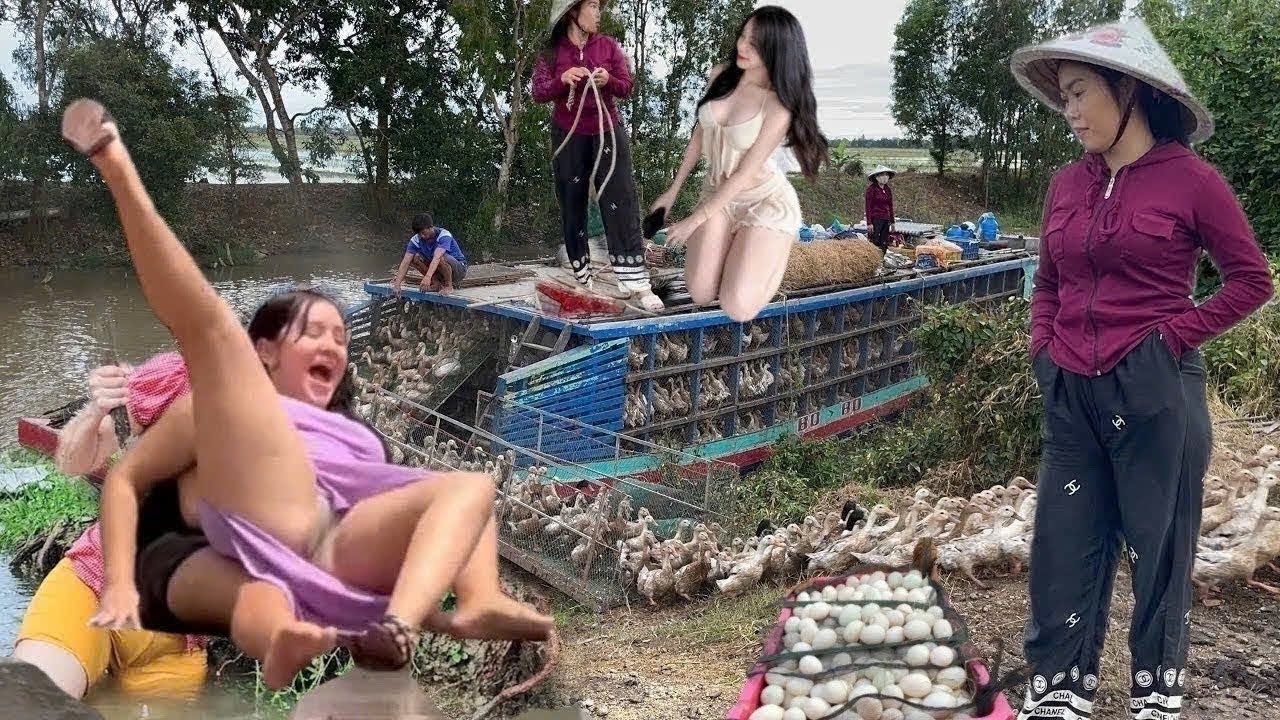 Unbelievable! Trucks and Boats Move Giant Duck Flock Across Flooded Fields for Huge Profits 