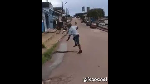 Servidor vps HTTP custom ⚡ alta velocidad ⚡ prepago sin saldo!