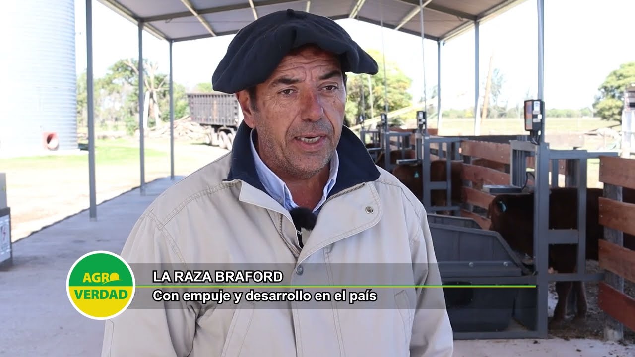 La Estación Zootecnica de la Universidad Católica de Córdoba y sus modernos comederos metabólicos