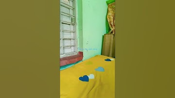 my first loop❤️#loop#shortsvideo#viral