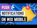 How To Enable/Disable Push Notifications on Your Mobile Device