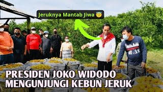 Kunjungan Jokowi ke Kampung Jeruk Karo, Membawa Kebahagiaan bagi Warga