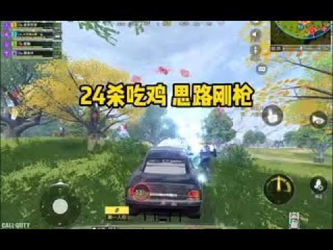 【使命召唤手游】24杀吃鸡局思路刚枪，Echo和117配件在最后 #顺仙