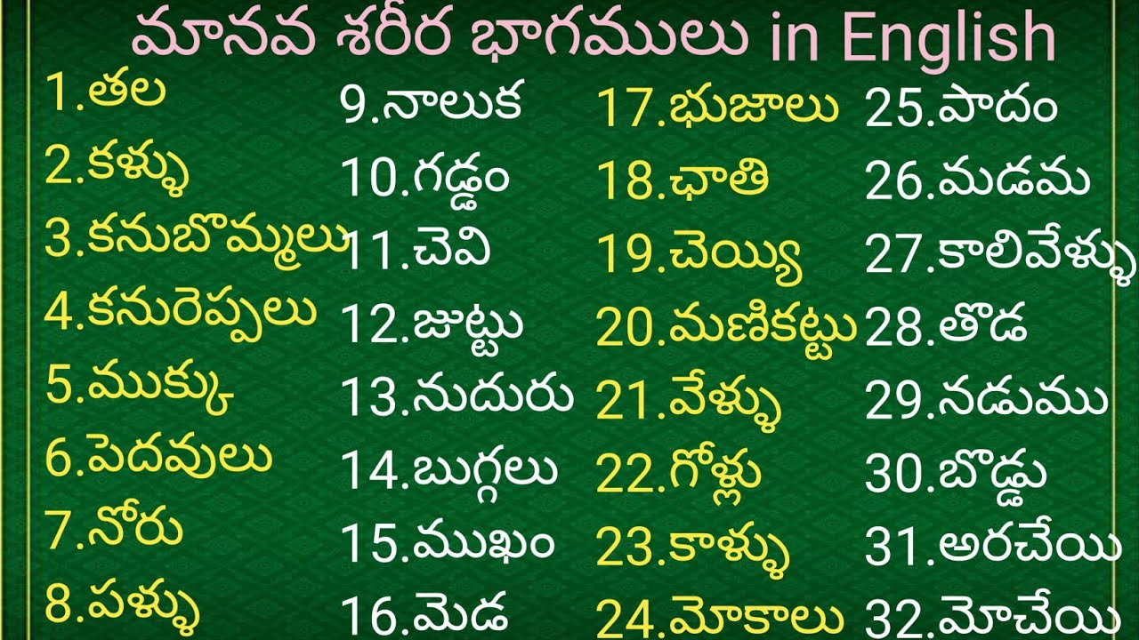 Human body organs in telugu to EnglishLearn Englishlearn English with