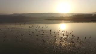 Varusham 16 Bgm || Maestro Ilayaraja 💗