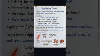 #Blood group (RBCs)🩸🩸🍒(WBCs)🦠🦠🏥(Platelet)🍓🍖🍖🍗🥝🍓🏥#Naklie blood 🩸🍒🫀🫀🩺📎