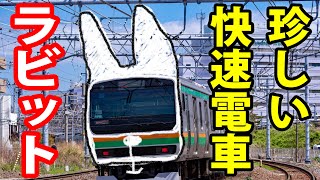 【なぜこの名前？】快速電車「ラビット」で上野駅へ　東京では珍しい快速電車