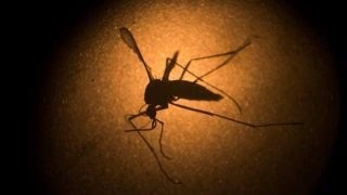 Bill and Melinda Gates Foundation CEO on the fight against Zika