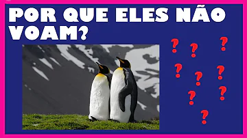 Qual é o nome das aves que não voam?