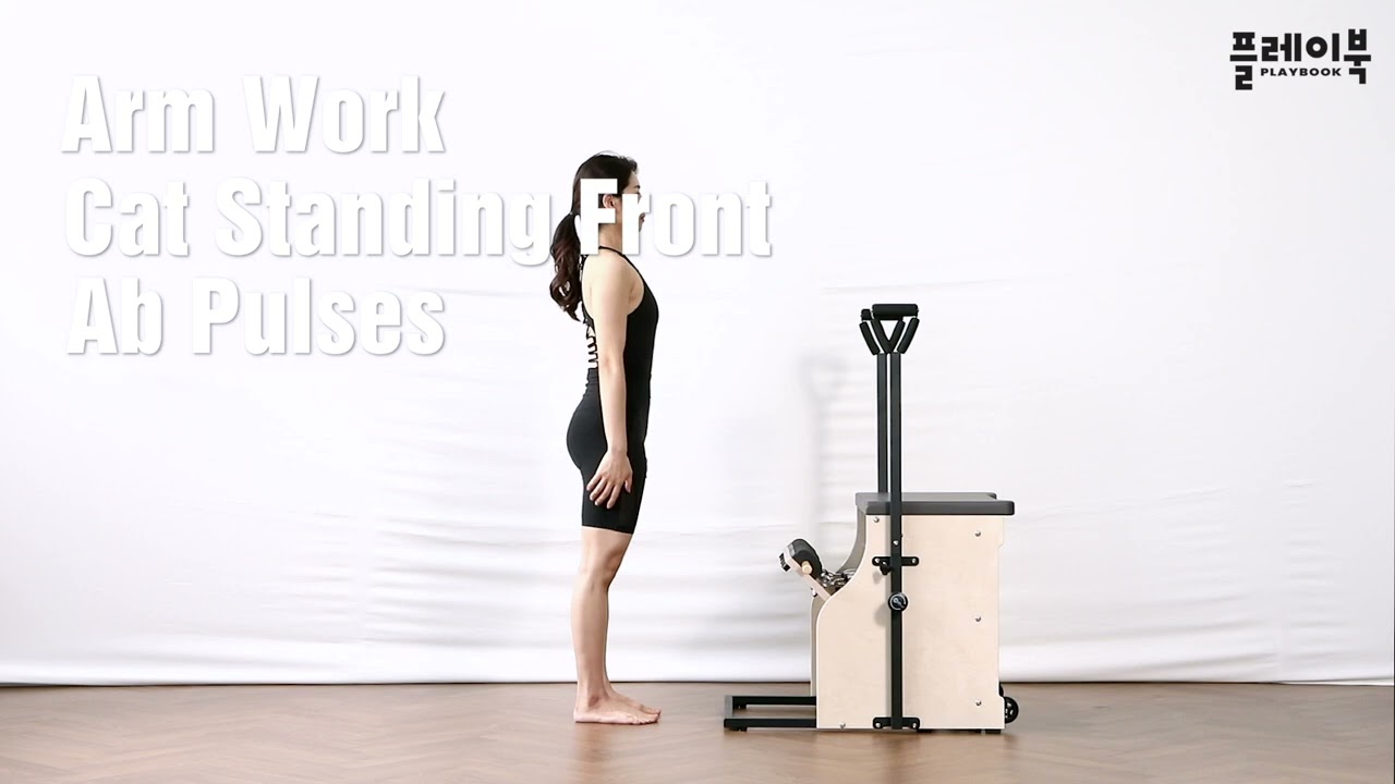 Chair 21 cat standing front