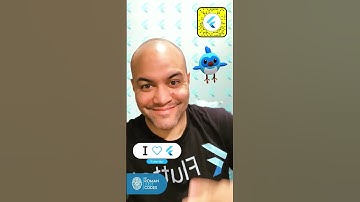 Flutter Dash (for Snapchat)