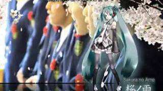 Video thumbnail of "Hatsune Miku Sakura no Ame"