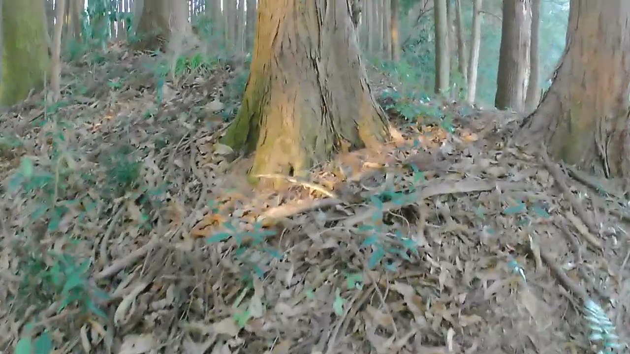 茨城県水戸市　藤井城　その１