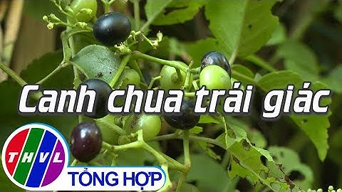 Bếp Việt: Canh chua trái giác