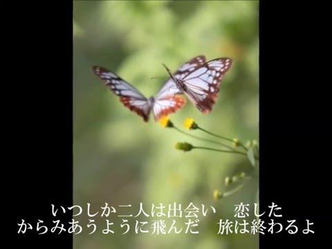 あさぎまだら~時の旅人