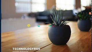 How To Install WordPress On Centos 7