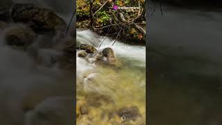 Celebrity Explore the Dolomites: A Scenic Escape Net Worth