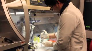 Full What is the MSSNG Research Project Guide
