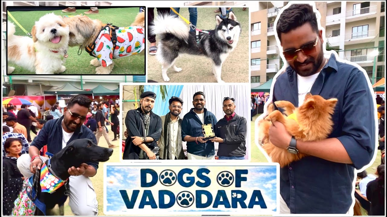 DOGS OF VADODARA | DRAWING COMPETITION | FIRST TIME IN INDIA ￼