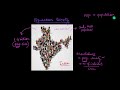 Population Density and Its Ecological Impact in India