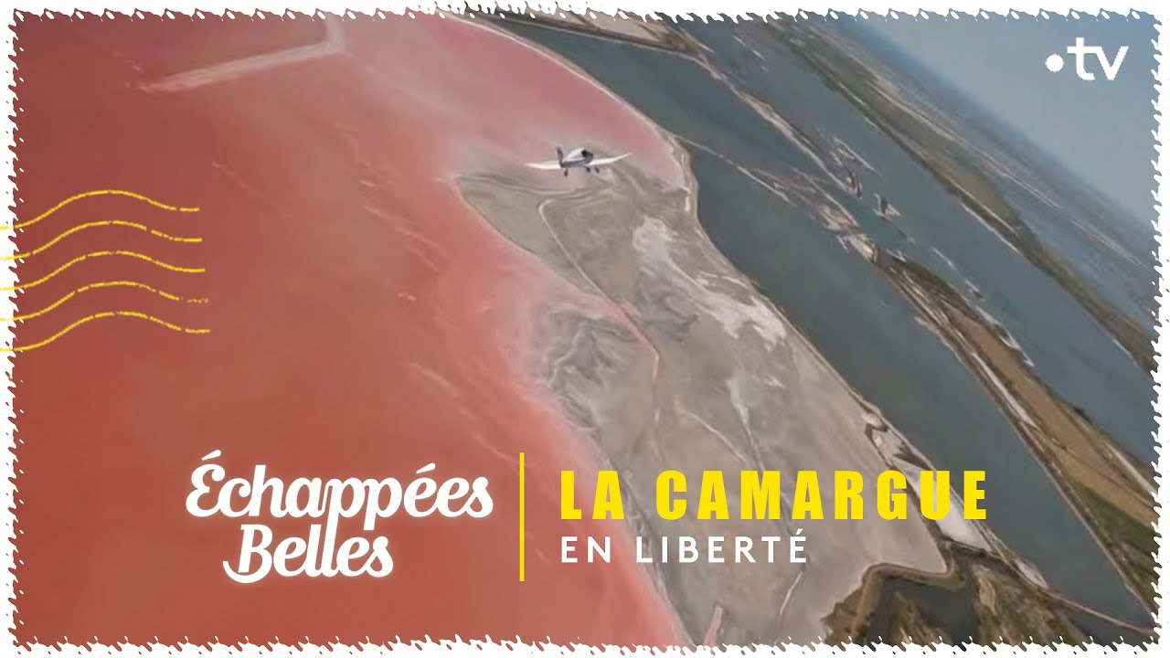 La Camargue en liberté - Échappées belles