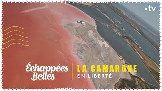 La Camargue en liberté - Échappées belles