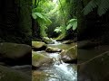 🌿 You Won't Believe This Hidden Forest Stream 💧 #relax #naturetranquility #shorts