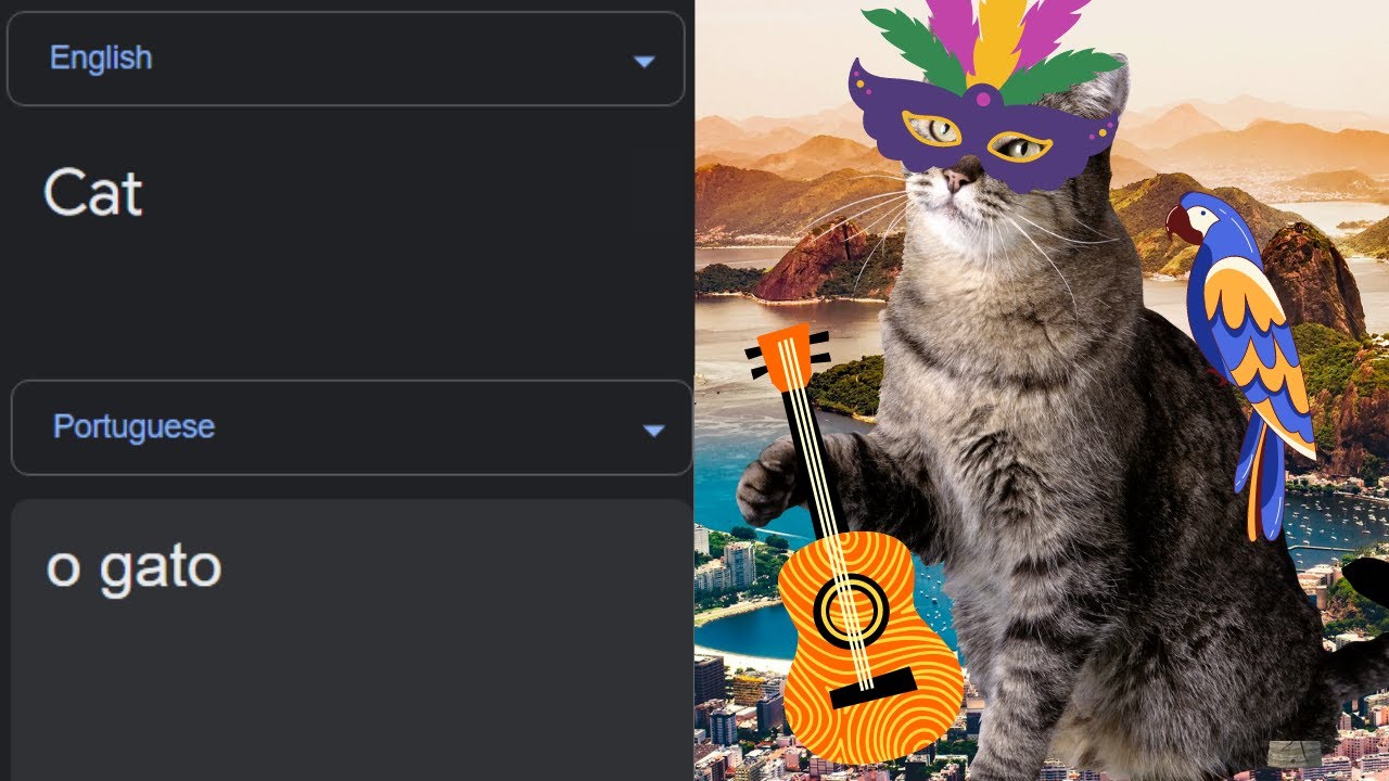 cat-in-different-languages-meme-youtube