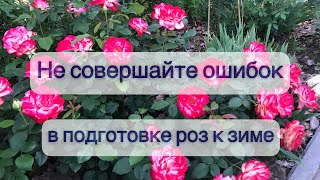 видео: Как выбрать для себя правильную схему в подготовке роз к укрытию! Важная информация на 24-ой минуте! картинка: Как выбрать для себя правильную схему в подготовке роз к укрытию! Важная информация на 24-ой минуте!
