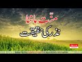 Nazar (Mannat) mangne ki haqiqat | منّت مانگنے کی حقیقت | Urdu/Hindi