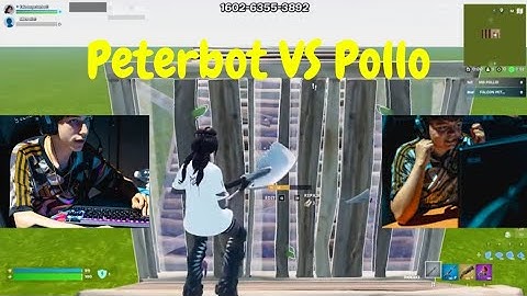 Peterbot VS Pollo 1v1 BuildFight