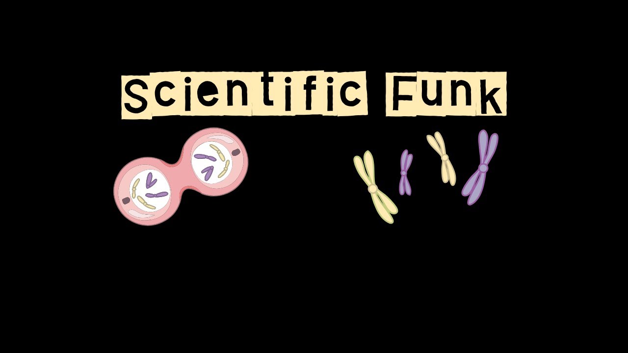The scientific funk- Adrian 7th grade
