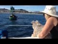 It's Xmas Once Again in Santa Barbara!! Xmas Day Sail (2013)